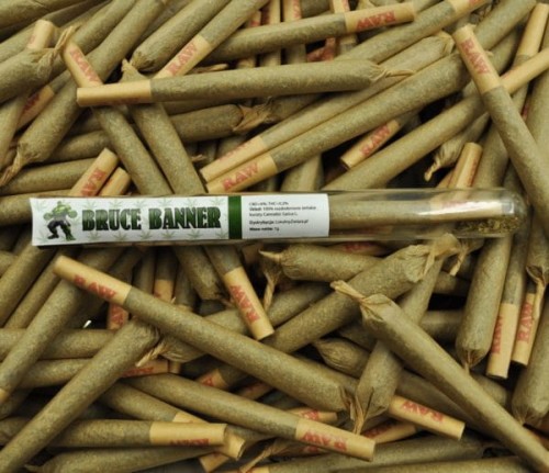 Bruce-Banner-scaled-1-600x518.jpg