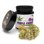 Susz LZ CBD Purple Cherry 3g 6%