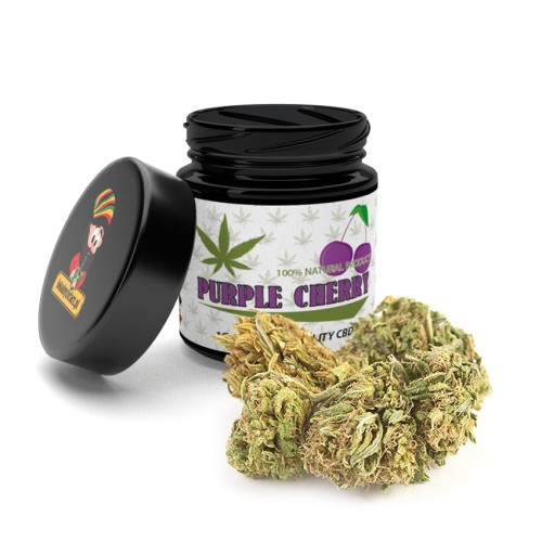 Purple-Cherry-1g.jpg