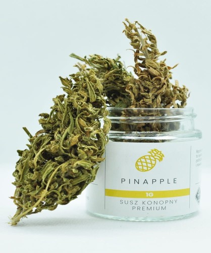 pineapple-1g.jpg