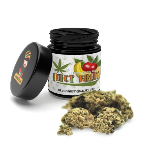 Juicy-Fruit-1g.jpg