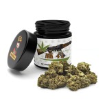 Susz LZ CBD AK47 1g 9%