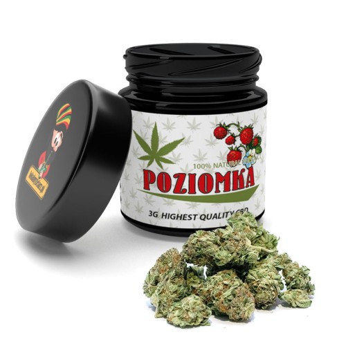 Poziomka-3g.jpg