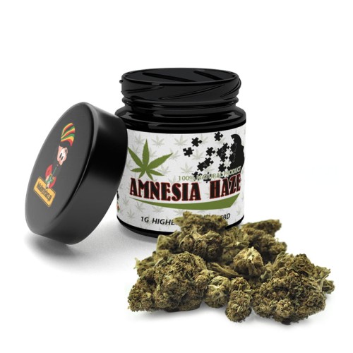Amnesia-Haze-1g.jpg